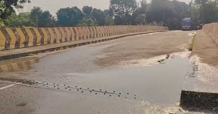 উদ্বেগ বাড়ছে রাজবাড়ী-বালিয়াকান্দি সড়কের দুই সেতুতে