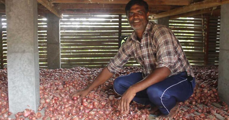 পেঁয়াজ সংরক্ষণের মডেল ঘরে সুফল পাচ্ছে কৃষক