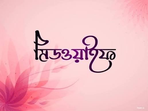নারীদের স্বাস্থ্যসেবায় ২৫ হাজার মিডওয়াইফ নিয়োগ দেবে সরকার