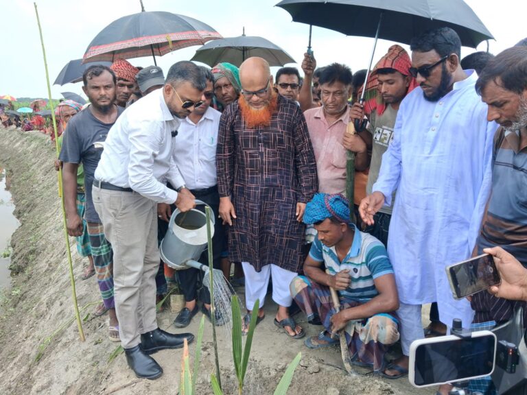 কালুখালীতে ৫ কিলোমিটার খাল পুনঃখনন ও বৃক্ষরোপণ কর্মসূচির উদ্বোধন, সুবিধা পাবে ৫টি বিল
