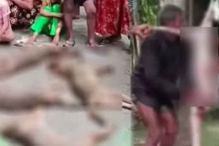 ৭ শিয়াল রান্না করে রুটি দিয়ে খেল বরিশালের বাসিন্দারা!