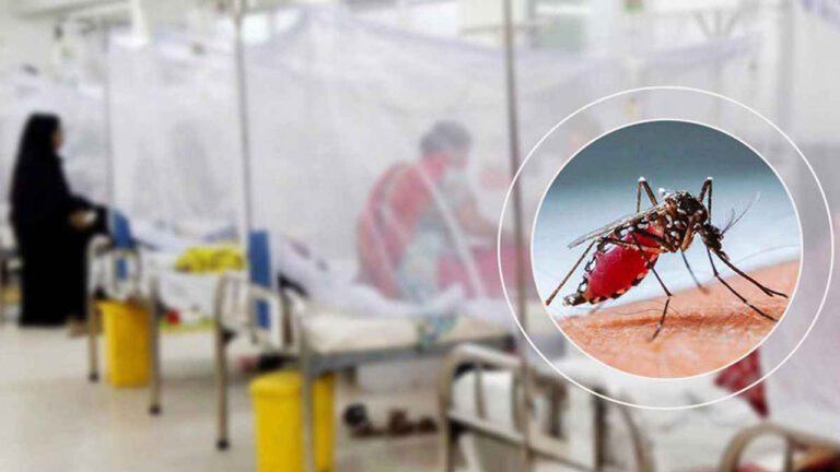 ডেঙ্গুতে আরো ৭ জনের মৃত্যু, হাসপাতালে ভর্তি ১৩৭৩