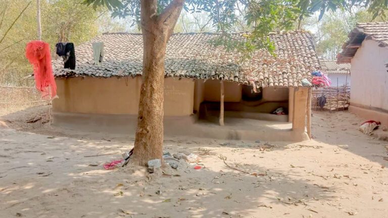 ভারতে কালাজাদুর নামে মা ও শিশুকে পুড়িয়ে হত্যা