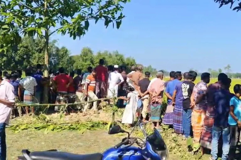 ২৪ ঘণ্টায়ও ধরা পড়েনি সীমান্ত পেরিয়ে আসা বাঘ, আহত ৪ বাংলাদেশি