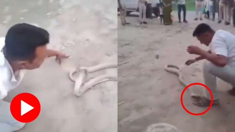গোখরোর ছোবলে যুবকের মৃত্যু, কেরামতির ভিডিও ভাইরাল